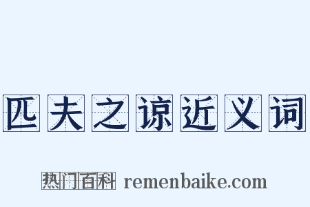 匹夫之谅近义词是什么意思的图片